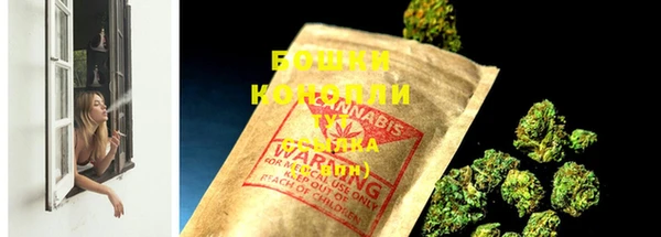 мдпв Каменка
