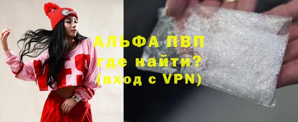 PSILOCYBIN Белокуриха