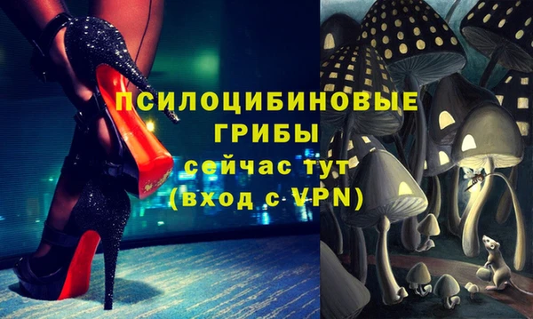 прущие крисы Беломорск