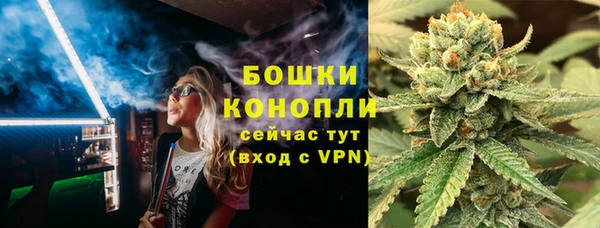 стаф Каменск-Шахтинский