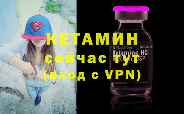 PSILOCYBIN Белокуриха